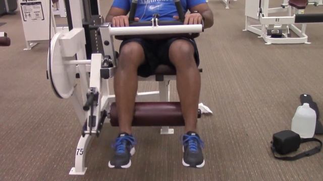 SEATED LEG CURLS