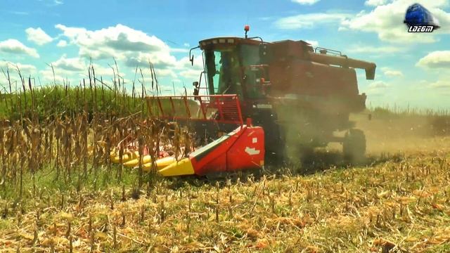 🌽Spring Corn Harvest🌽 CASE IH 2166 Axial-Flow, John Deere 2040 & FIAT 1380DT in Romania 06 May 2021 смотреть онлайн
