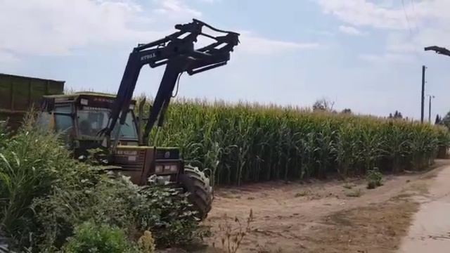 claas jaguar 695sl🐆 .... смотреть онлайн