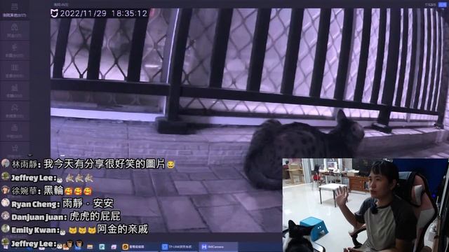 【直播】阿金的軟骨頭洗好曬乾了 今晚拿給他20221129(MiMi醬&黑妞&阿金&歐戀&阿虎)