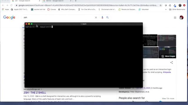 Customize Terminal with Zsh and iTerm2 смотреть онлайн