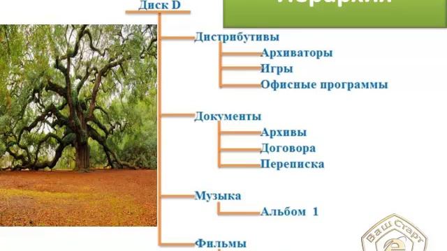 Иерархия.mp4 смотреть онлайн