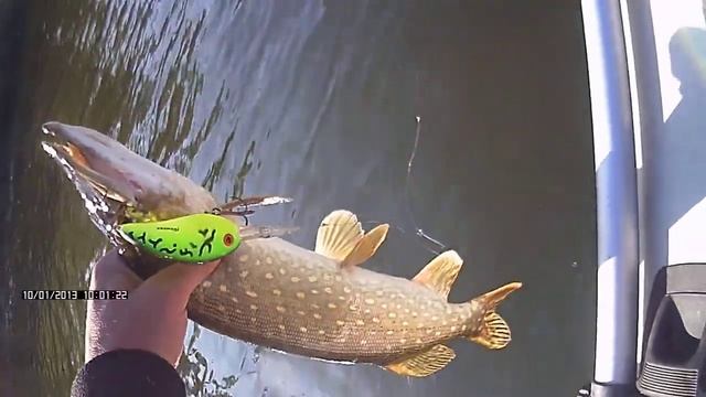 Щука на BOMBER BD7F смотреть онлайн