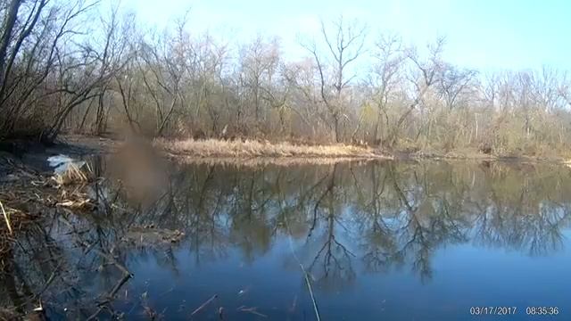 Тарань на нахлыст март 2017 смотреть онлайн