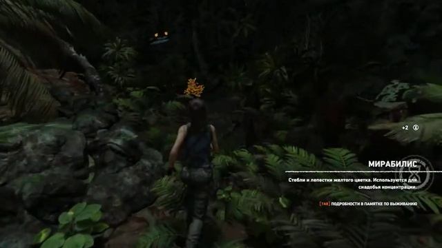 ПЕРУАНСКИЕ ДЖУНГЛИ (Часть 1) Shadow of the Tomb Raider смотреть онлайн