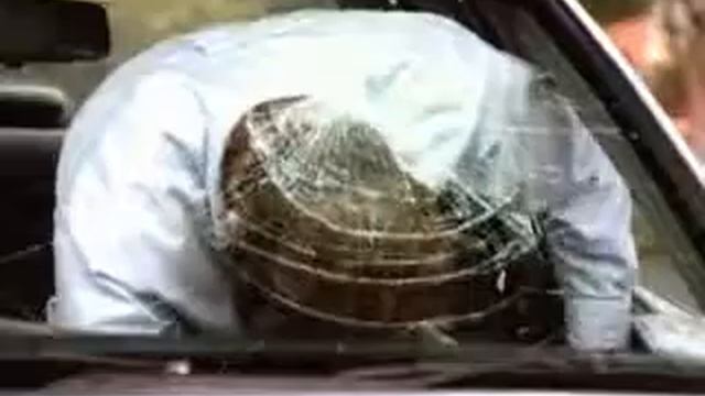 Safety message - Always wear Seat Belt while riding in a Car смотреть онлайн