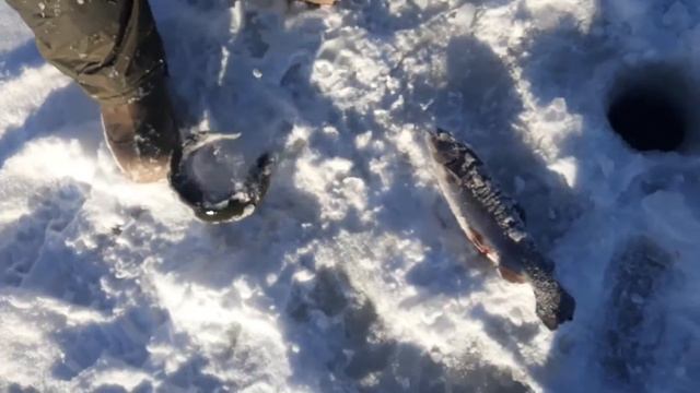 Две одновременно. смотреть онлайн
