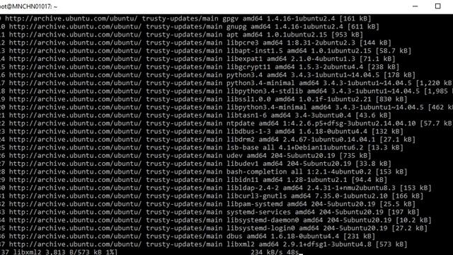 Bash on Ubuntu on Windows 10, Upgrade System смотреть онлайн