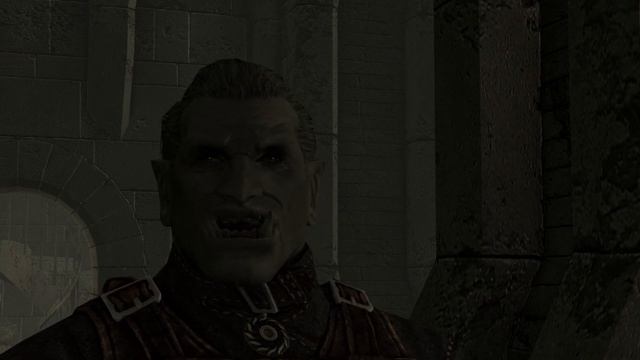 Скайрим, но текста на превью даже с лупой не рассмотреть | #WardWitcher смотреть онлайн