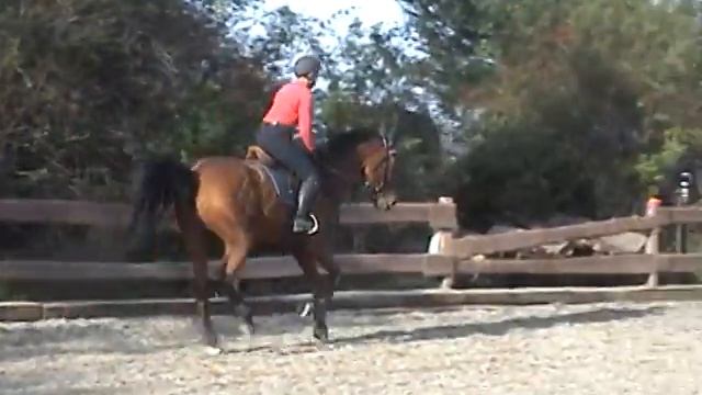 Baden Lupo 1.mpg смотреть онлайн