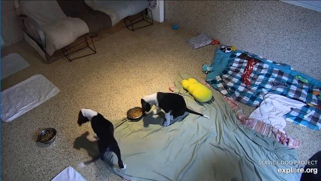 Ice IL Minnie N Mickey DonnaC Lunches 372024 Explore.org