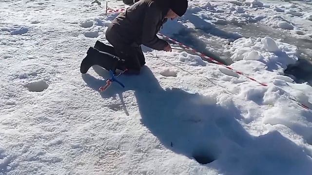 Голицыно Fish смотреть онлайн
