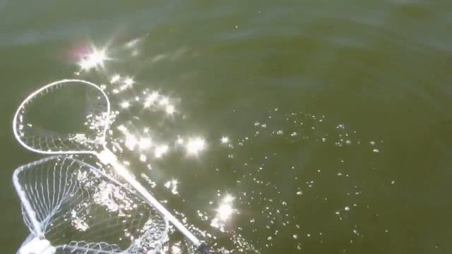 Pelorus Подсаки Украина плавающие смотреть онлайн