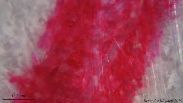 Rollerball pen смотреть онлайн