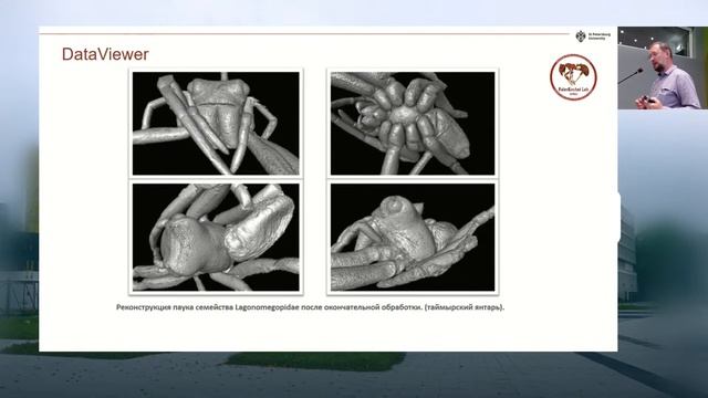 Использование компьютерной микротомографии в исследовании ископаемых смол смотреть онлайн
