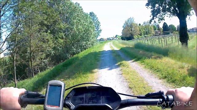 CATABIKE-14 смотреть онлайн