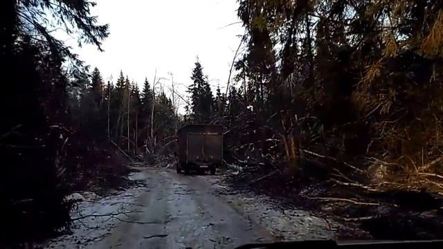 Последствия ледяного дождя в Дмитровском районе МО. Декабрь 2016. смотреть онлайн