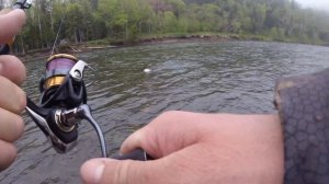 Сима на спининг, о.Сахалин. sherrysalmon. вишнёвый лосось.