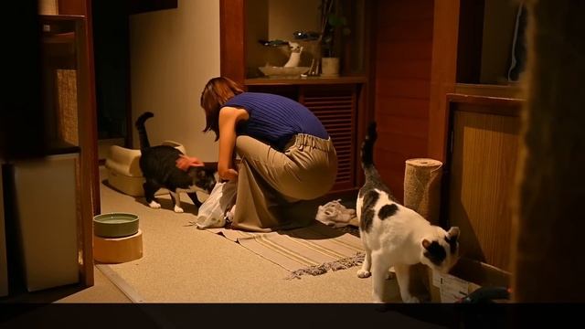 Y2mate.mx-#95 秋の夜長🍁｜海辺暮らしの贅沢リラックスタイム