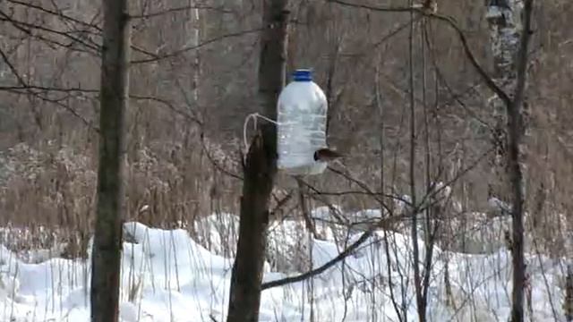 Ланч в зимнюю стужу. смотреть онлайн