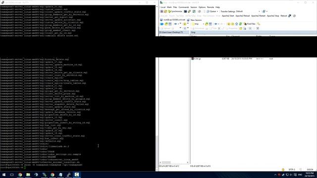How to make a Teamspeak server on Linux смотреть онлайн
