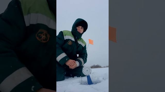 шарлей на зимней рыбалке первый лёд #шарлей #тонкий #лёд смотреть онлайн