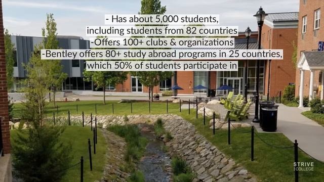 Strive College Partner - Bentley University смотреть онлайн