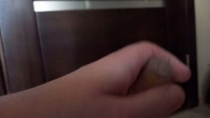 поппер из пробки