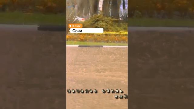 В центре внимания Сочи