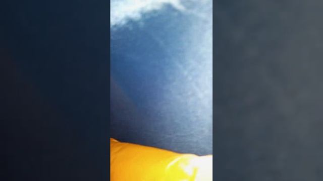 Андрей Гамола смотреть онлайн