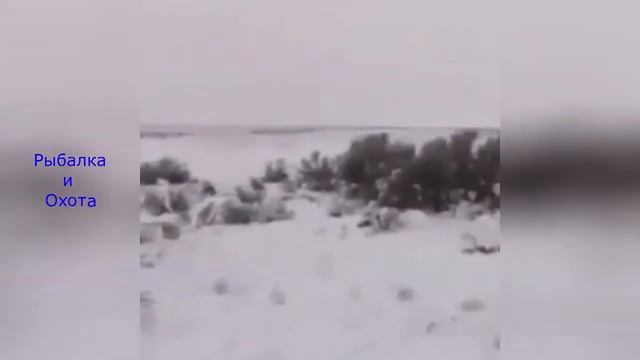 Русская охота Необычные случаи на охоте #7 смотреть онлайн