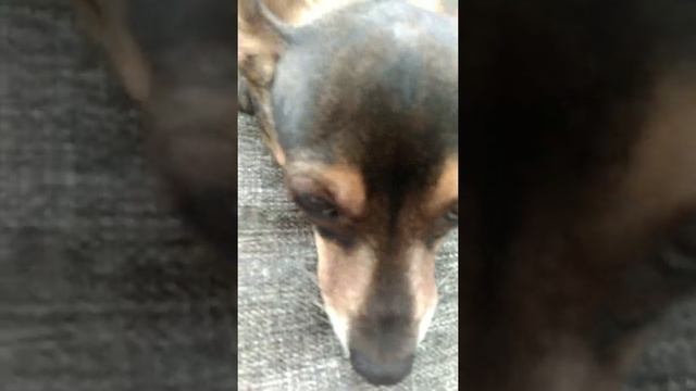 11 апреля 2020 г. смотреть онлайн