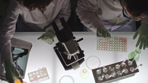 Microscope video #3 Copyright Free Video's