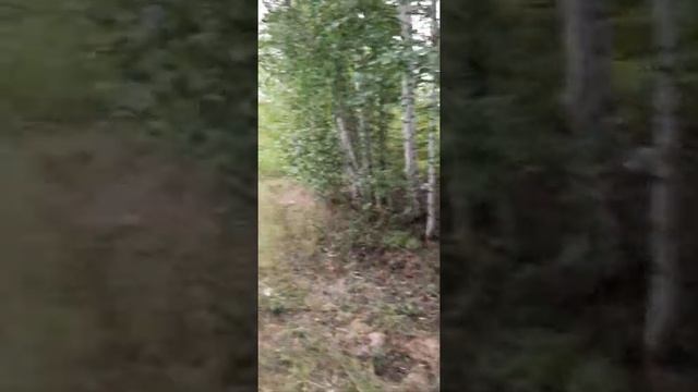 В поисках озера 