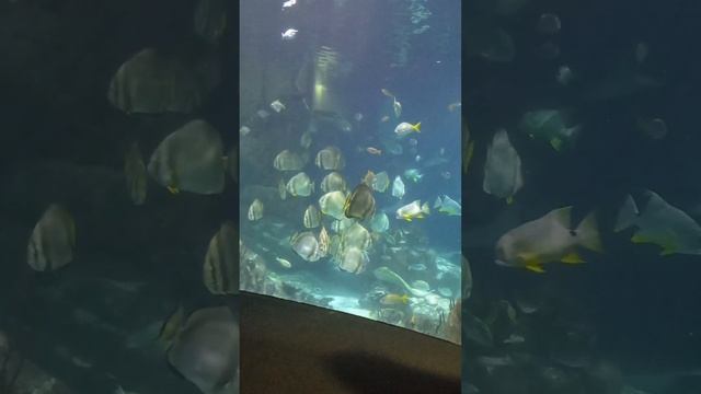 lovely day at the NMA plymouth. смотреть онлайн