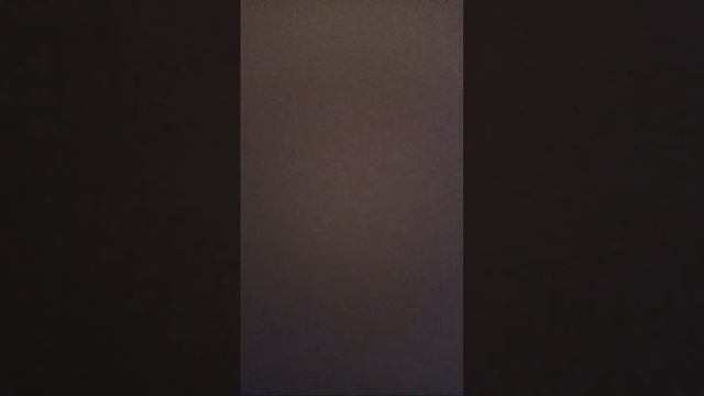 Предметы Под Микроскопом