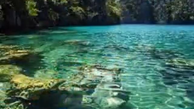 Experience Coron: Hotel - Tours - Airfare ALL IN 55% 0ff смотреть онлайн