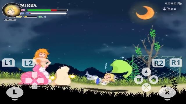 Echidna Wars DX V2