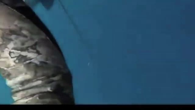 HOW TO CATCH BIG FISH, FISH HUNTING EPISODE 7 / SPEARFISHING #fishing #fish @BUDZROMMZ смотреть онлайн