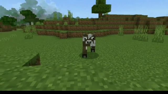 New Latest Morph Mod for Minecraft Pe & Bedrock Mod| Download| смотреть онлайн