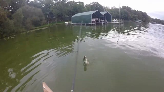 Going Back up Shallow with These Clouds смотреть онлайн