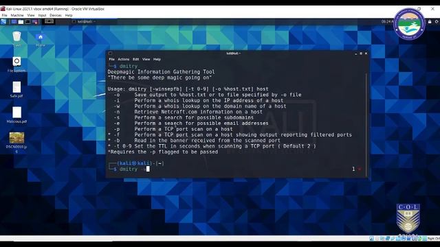 Deep Information Gathering Tool: Dmitry смотреть онлайн