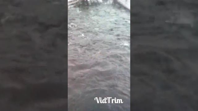 Форелевое хозяйство. Карелия, шагозего. смотреть онлайн