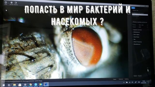 https://www.astronompavlov.ru смотреть онлайн