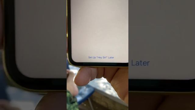 Yellow iPhone 11 смотреть онлайн