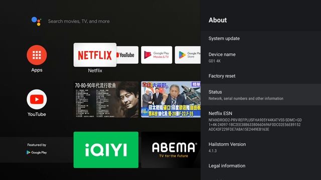 Decolor GD1 4K Android TV Stick