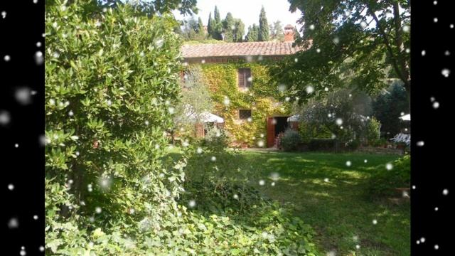 50^ catechesi di Concetta: GESÙ, CONFIDO E SPERO IN TE смотреть онлайн