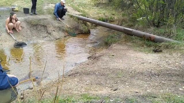 Карась смотреть онлайн