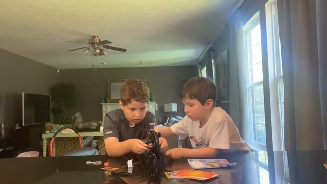 Mystery Box - Microscope Lab