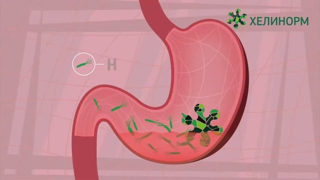 Для бренда Хелинорм (Helinorm)